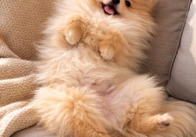 001-viber_slika_2026-04-14_12-57-34-075