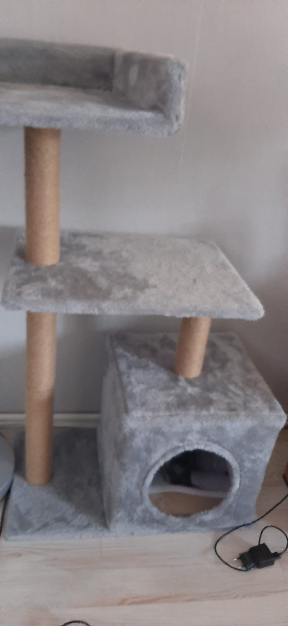 Прекрасна женска мачка за продажба / Liebevolle weibliche Katze zu verkaufen
