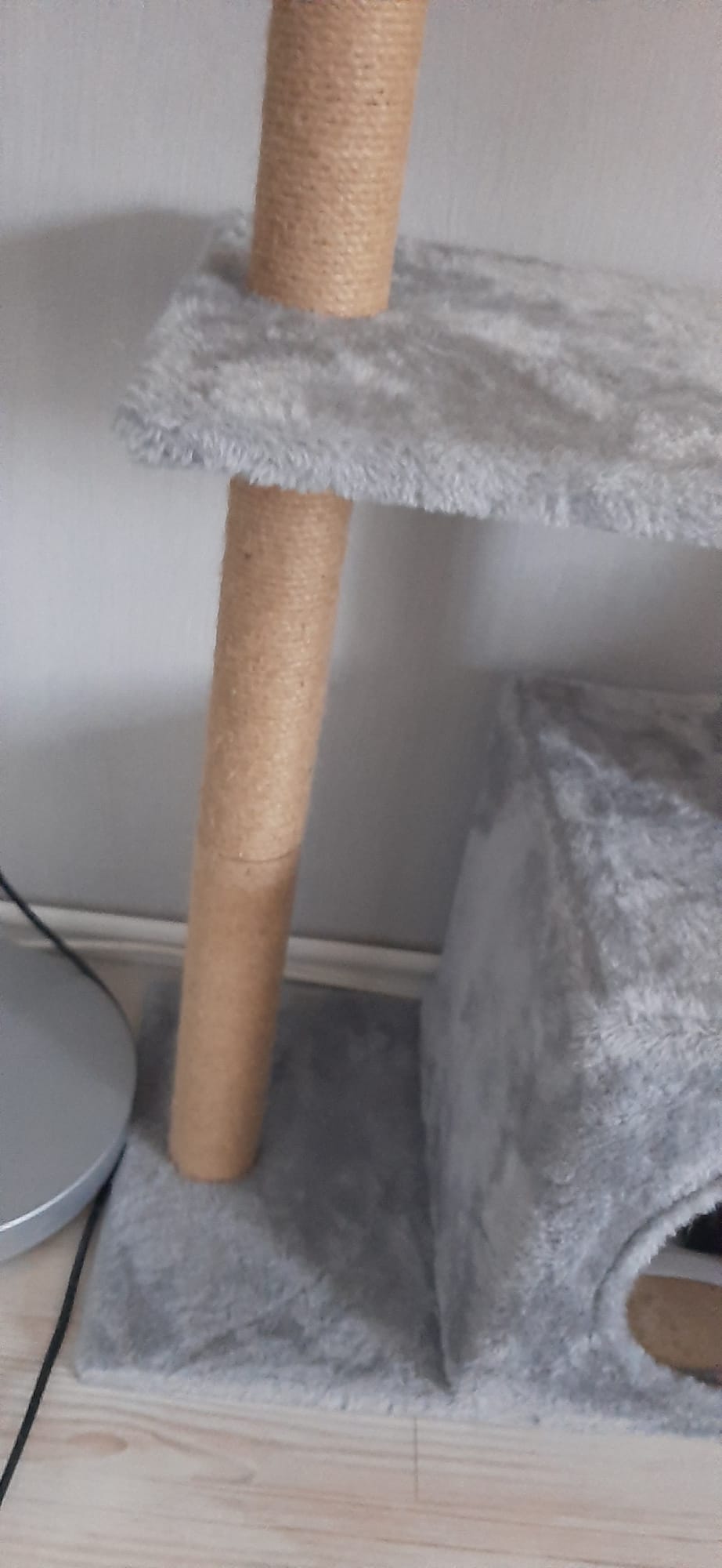 Прекрасна женска мачка за продажба / Liebevolle weibliche Katze zu verkaufen