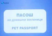 Хитно !! СЕ ПОДАРУВА МАЧЕ – ОДГОВОРЕН И ГРИЖЛИВ ДОМ