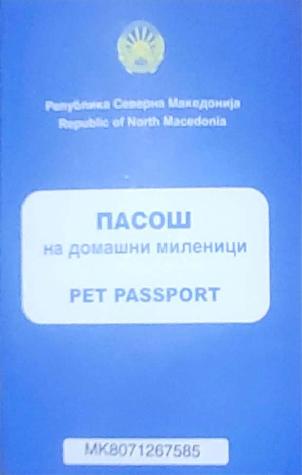 Хитно !! СЕ ПОДАРУВА МАЧЕ – ОДГОВОРЕН И ГРИЖЛИВ ДОМ